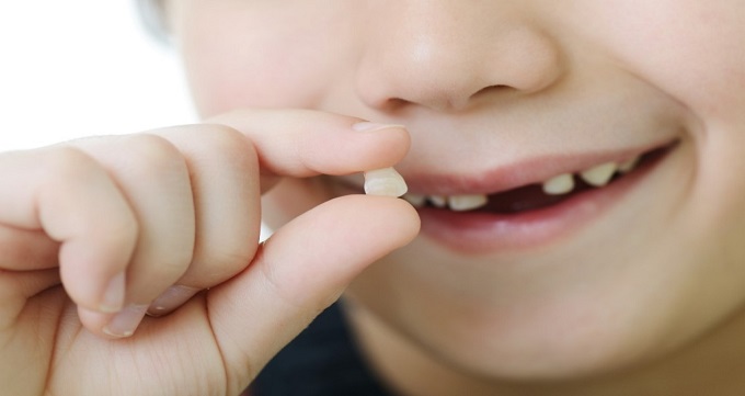 دندان شیری چیست؟